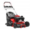 Ducati DLM5301P Podadora 173 cc con Bolsa 21 pulgadas Corte